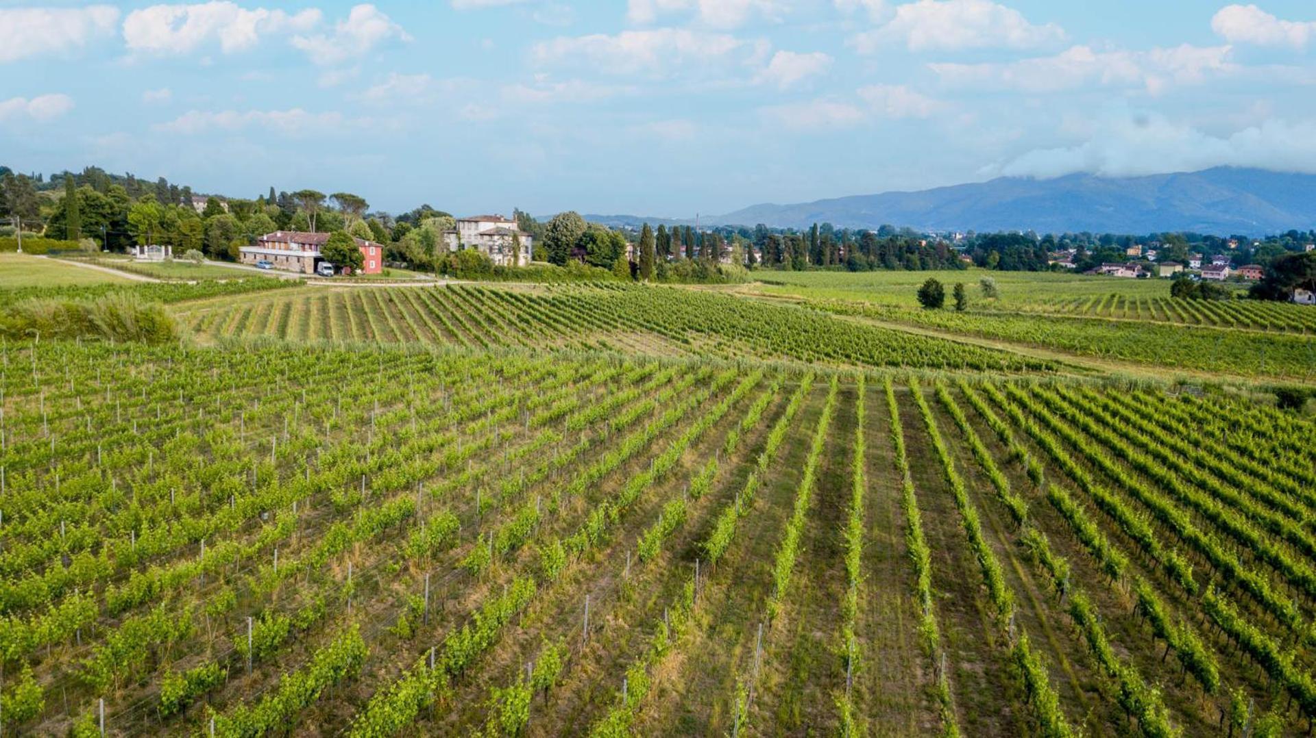 Cicale 3 Bedrooms Farmhouse With Shared Pool Lucca Esterno foto
